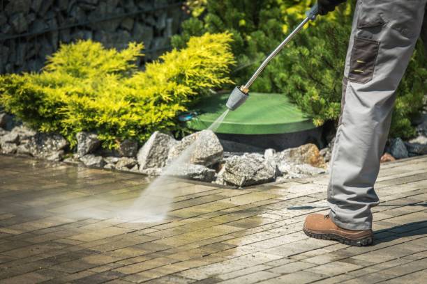 Best Fence Cleaning  in Cheviot, OH