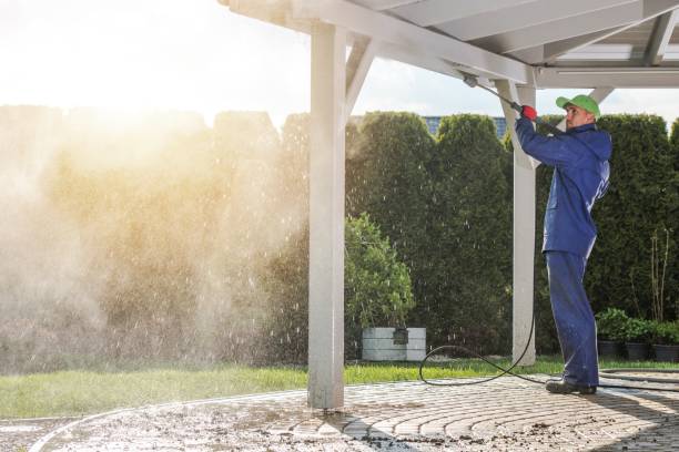 Best House Exterior Washing  in Cheviot, OH